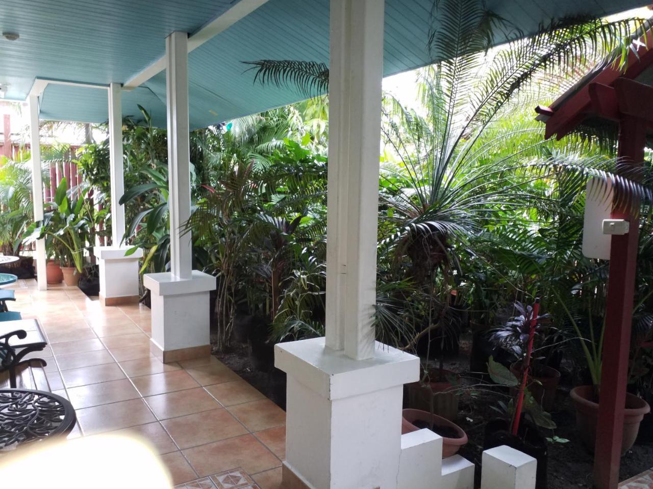Aqua Point Condos Rentals Bocas Town Ngoại thất bức ảnh